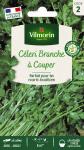 Aromatiques - Céleri Branche à Couper - PACKAGING_RECTO